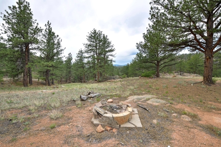 Mountain Paradise Awaits: 20 Acres in Tarryall River Valley - image 4