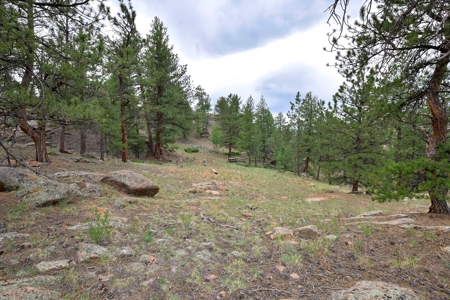 Mountain Paradise Awaits: 20 Acres in Tarryall River Valley - image 15