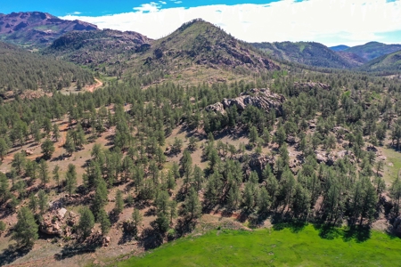 Mountain Paradise Awaits: 20 Acres in Tarryall River Valley - image 36