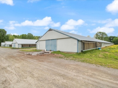 Operating poultry breeder farm for sale near Calhoun, Ky. - image 34