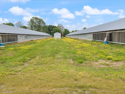 Operating poultry breeder farm for sale near Calhoun, Ky. - image 33