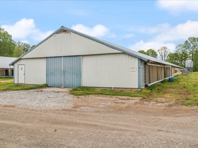 Operating poultry breeder farm for sale near Calhoun, Ky. - image 36