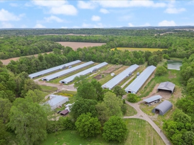 Operating poultry breeder farm for sale near Calhoun, Ky. - image 11