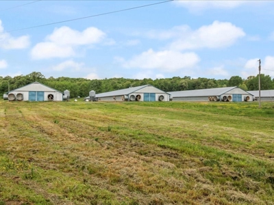 Operating poultry breeder farm for sale near Calhoun, Ky. - image 39