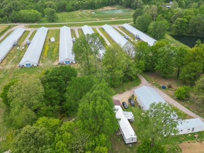 Operating poultry breeder farm for sale near Calhoun, Ky. - image 8