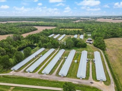 Operating poultry breeder farm for sale near Calhoun, Ky. - image 13