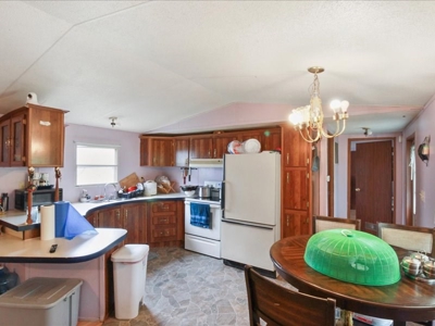 Operating poultry breeder farm for sale near Calhoun, Ky. - image 48