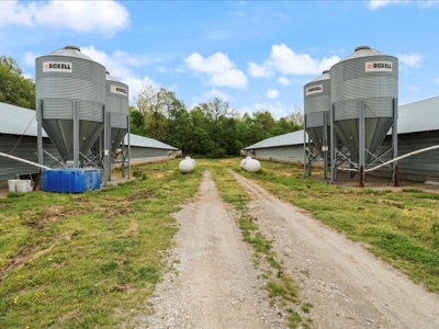 Operating poultry breeder farm for sale near Calhoun, Ky. - image 24