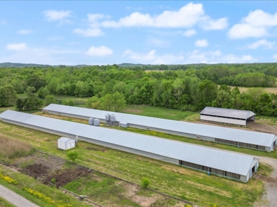 Operating poultry breeder farm for sale near Calhoun, Ky. - image 6
