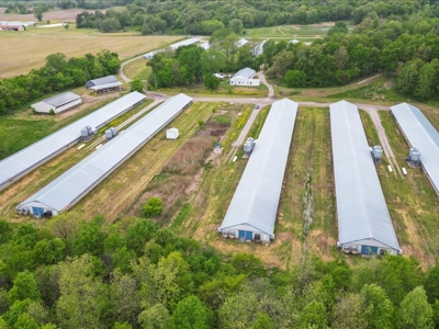 Operating poultry breeder farm for sale near Calhoun, Ky. - image 4