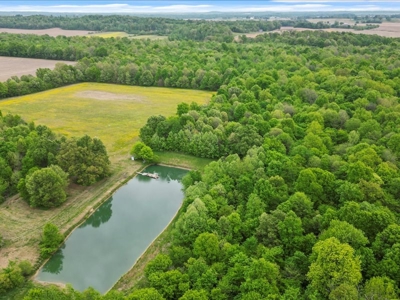 Operating poultry breeder farm for sale near Calhoun, Ky. - image 15