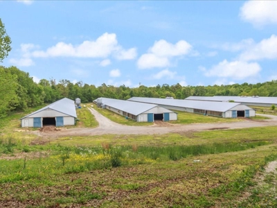Operating poultry breeder farm for sale near Calhoun, Ky. - image 2