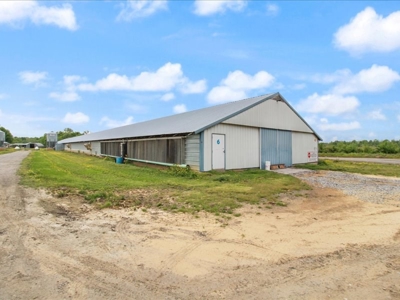 Operating poultry breeder farm for sale near Calhoun, Ky. - image 31