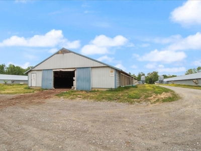 Operating poultry breeder farm for sale near Calhoun, Ky. - image 29