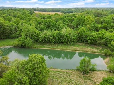Operating poultry breeder farm for sale near Calhoun, Ky. - image 14