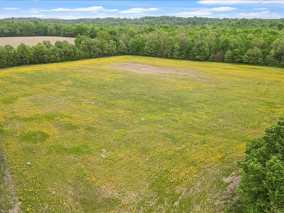 Operating poultry breeder farm for sale near Calhoun, Ky. - image 16