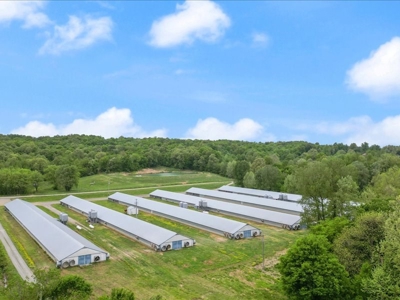 Operating poultry breeder farm for sale near Calhoun, Ky. - image 10