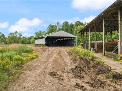 Operating poultry breeder farm for sale near Calhoun, Ky. - image 41