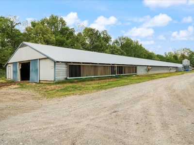 Operating poultry breeder farm for sale near Calhoun, Ky. - image 22