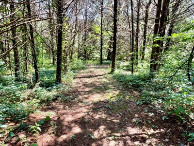 Arkansas Country Home on 10 Acres For Sale - image 25
