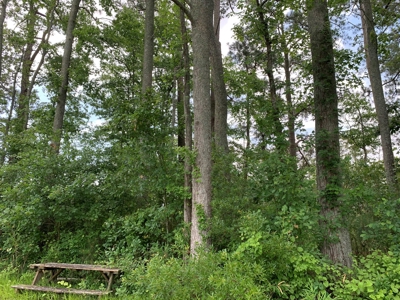 Waterfront Land for Sale in Beaufort County, NC - image 11