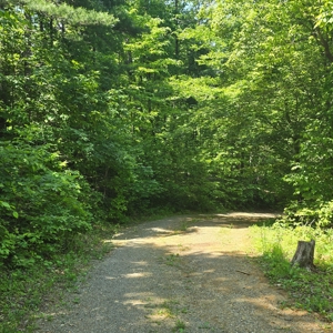 Country Home for Sale in Shawsville VA - image 44