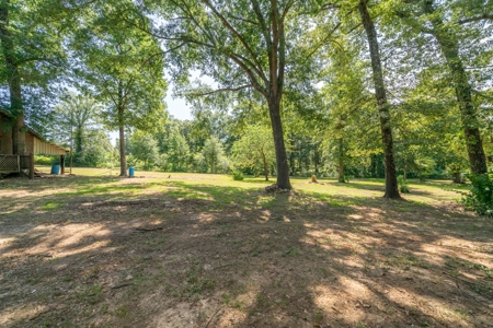 East Texas Country Homeplace - image 26