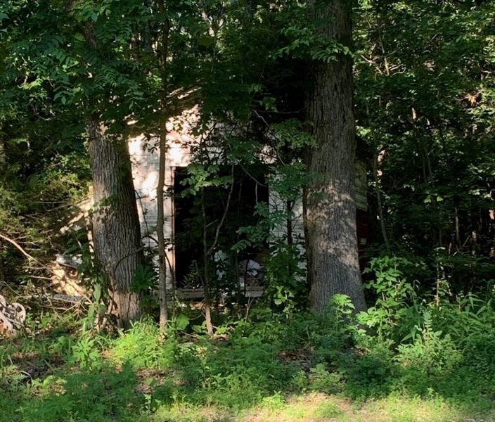Old Shed