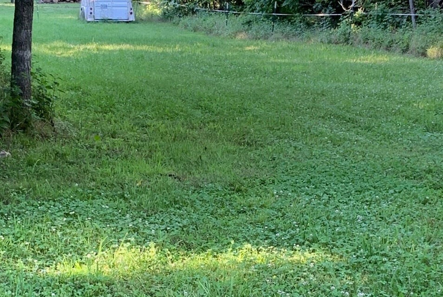 Pasture