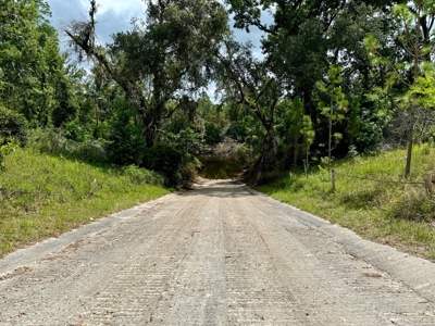 1.6 Acre Wooded Lot Near Withlacoochee River In Lee, Fl - image 3