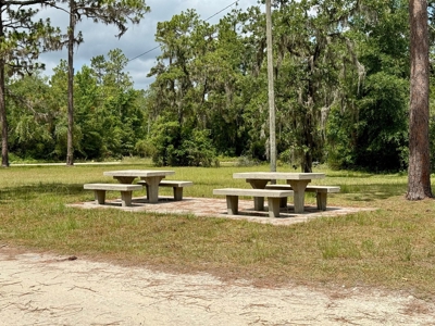 1.6 Acre Wooded Lot Near Withlacoochee River In Lee, Fl - image 2