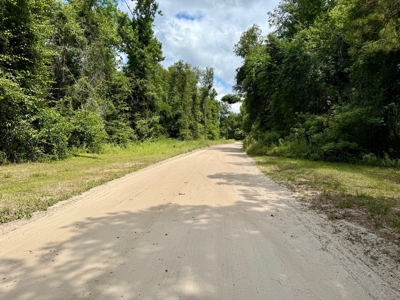 1.6 Acre Wooded Lot Near Withlacoochee River In Lee, Fl - image 6