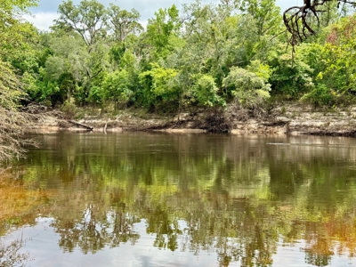 1.6 Acre Wooded Lot Near Withlacoochee River In Lee, Fl - image 5