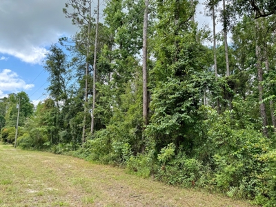 1.6 Acre Wooded Lot Near Withlacoochee River In Lee, Fl - image 1