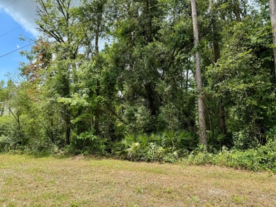 1.6 Acre Wooded Lot Near Withlacoochee River In Lee, Fl - image 12
