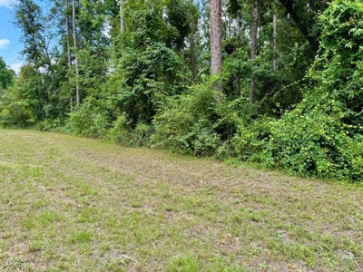 1.6 Acre Wooded Lot Near Withlacoochee River In Lee, Fl - image 8