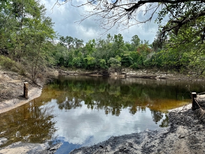 1.6 Acre Wooded Lot Near Withlacoochee River In Lee, Fl - image 4