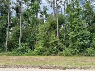 1.6 Acre Wooded Lot Near Withlacoochee River In Lee, Fl - image 10
