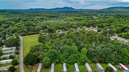 Auction! 6+ Acres in Gaston County NC - image 6