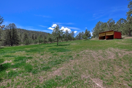 Colorado Mountain Home With Incredible Views For Sale - image 6