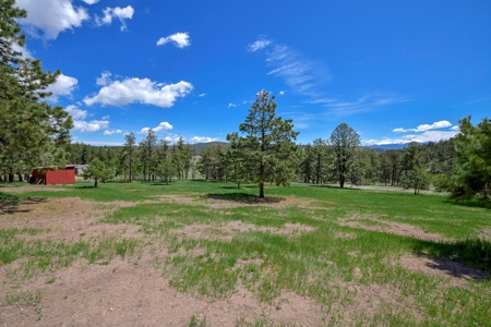 Colorado Mountain Home With Incredible Views For Sale - image 8