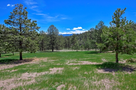 Colorado Mountain Home With Incredible Views For Sale - image 9