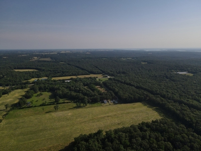 Home For Sale Stockton Lake, MO - image 5