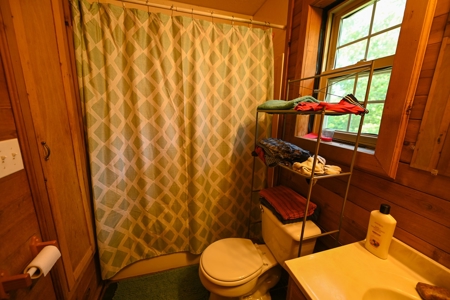 Home For Sale Stockton Lake, MO - image 30