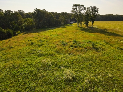 Home For Sale Stockton Lake, MO - image 2