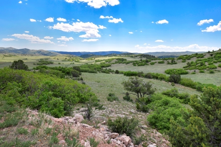 Off-Grid Colorado Ranch on 218 acres - image 44