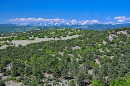 Off-Grid Colorado Ranch on 218 acres - image 4