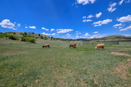 Off-Grid Colorado Ranch on 218 acres - image 36