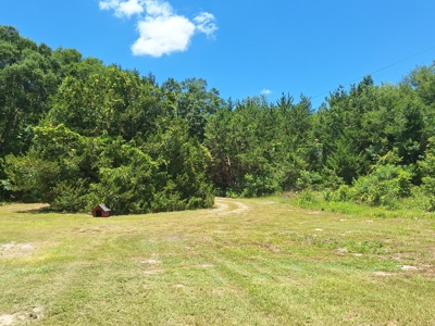 5 Acre Corner Lot At Carter's Crossroads With 3 Bedroom Home - image 19