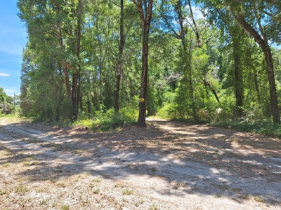 5 Acre Corner Lot At Carter's Crossroads With 3 Bedroom Home - image 31